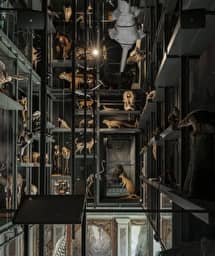 Illustration de l'événement : (Re)découverte du musée