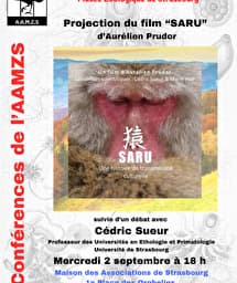 Illustration de l'événement : Projection du film Saru, une histoire de transmission culturelle de macaques japonais