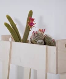 Illustration de l'événement : Atelier création de jardinière