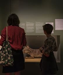 Illustration de l'événement : Promenons-nous dans le musée !
