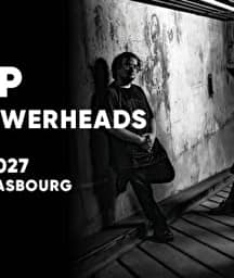Illustration de l'événement : FELDUP & THE SHOWERHEADS