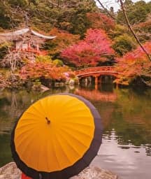 Illustration de l'événement : JAPON