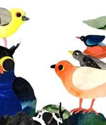 Illustration de l'événement : SOUS MON AILE