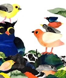 Illustration de l'événement : SOUS MON AILE
