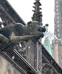 Illustration de l'événement : Regards croisés sur le grès de la cathédrale de Strasbourg