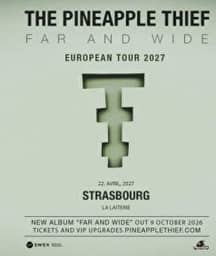 Illustration de l'événement : THE PINEAPPLE THIEF