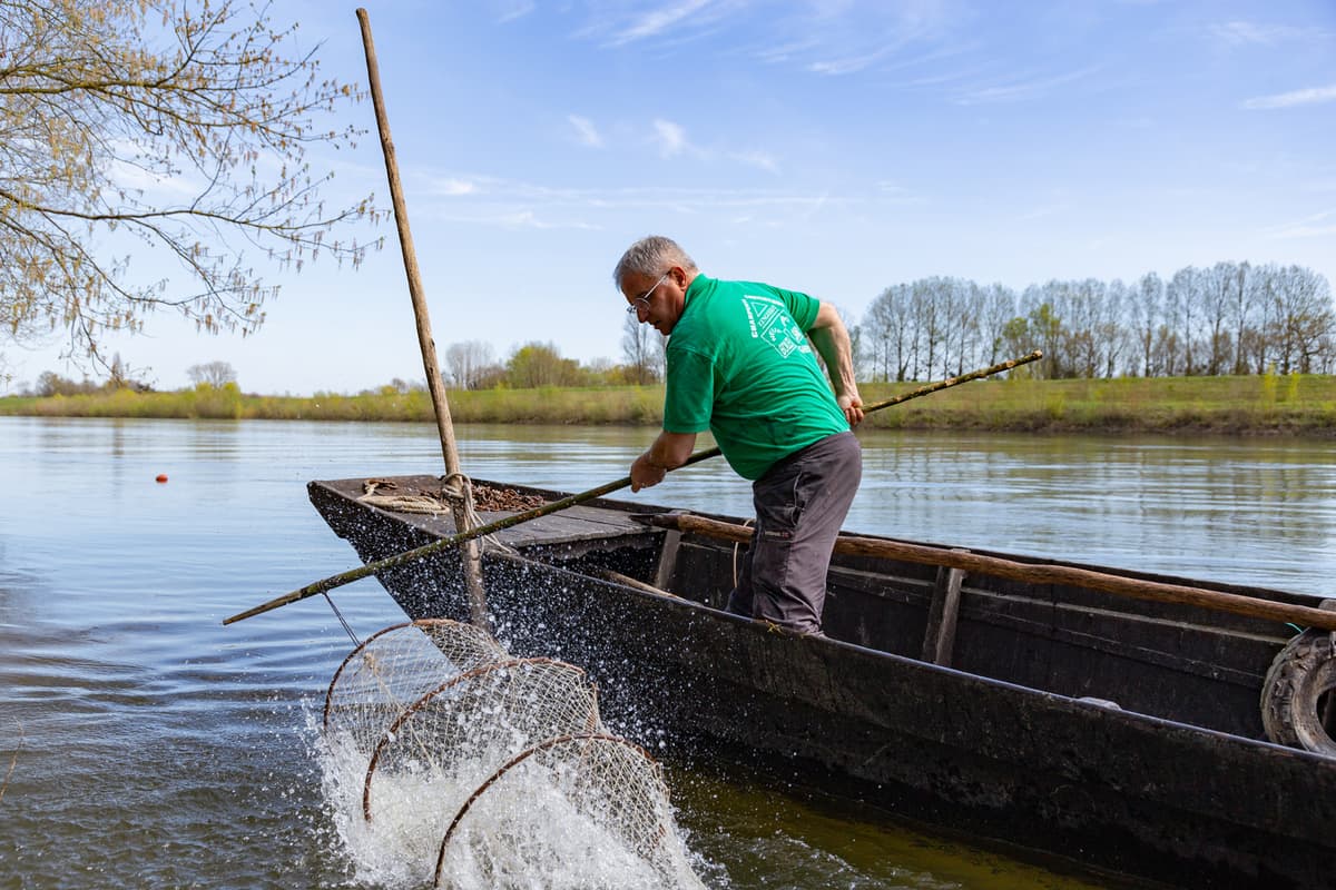 Illustration de l'événement : Conférence : Pêcher en Loire