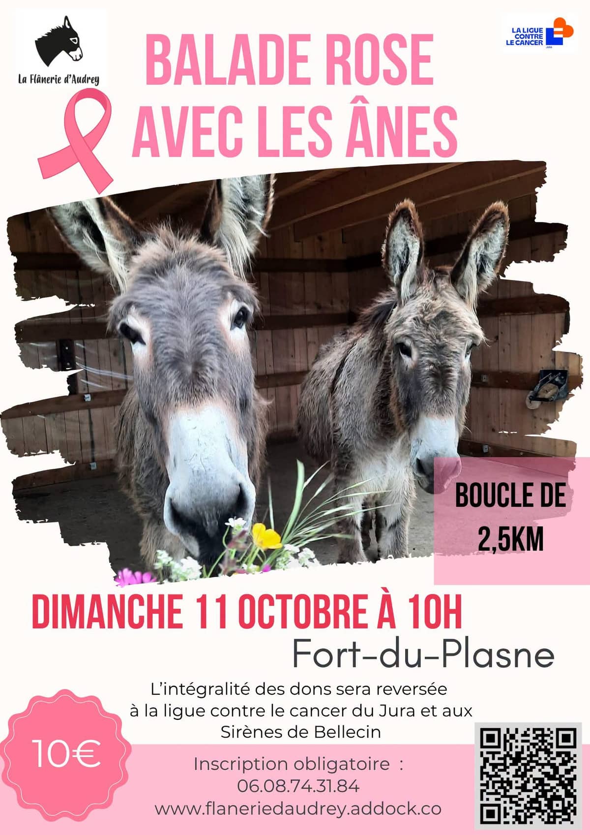 Illustration de l'événement : Balade rose avec les ânes