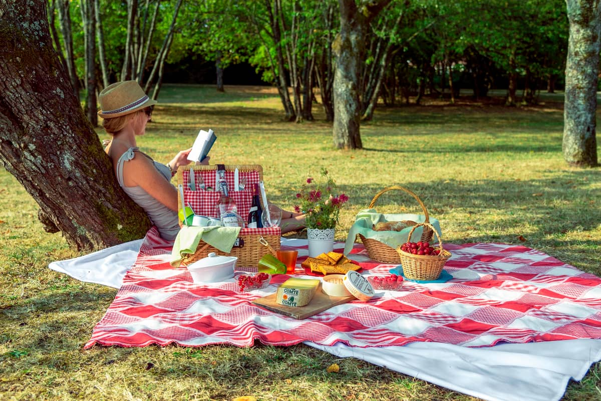 Illustration de l'événement : Fantastic Picnic "Cueillir l'instant"