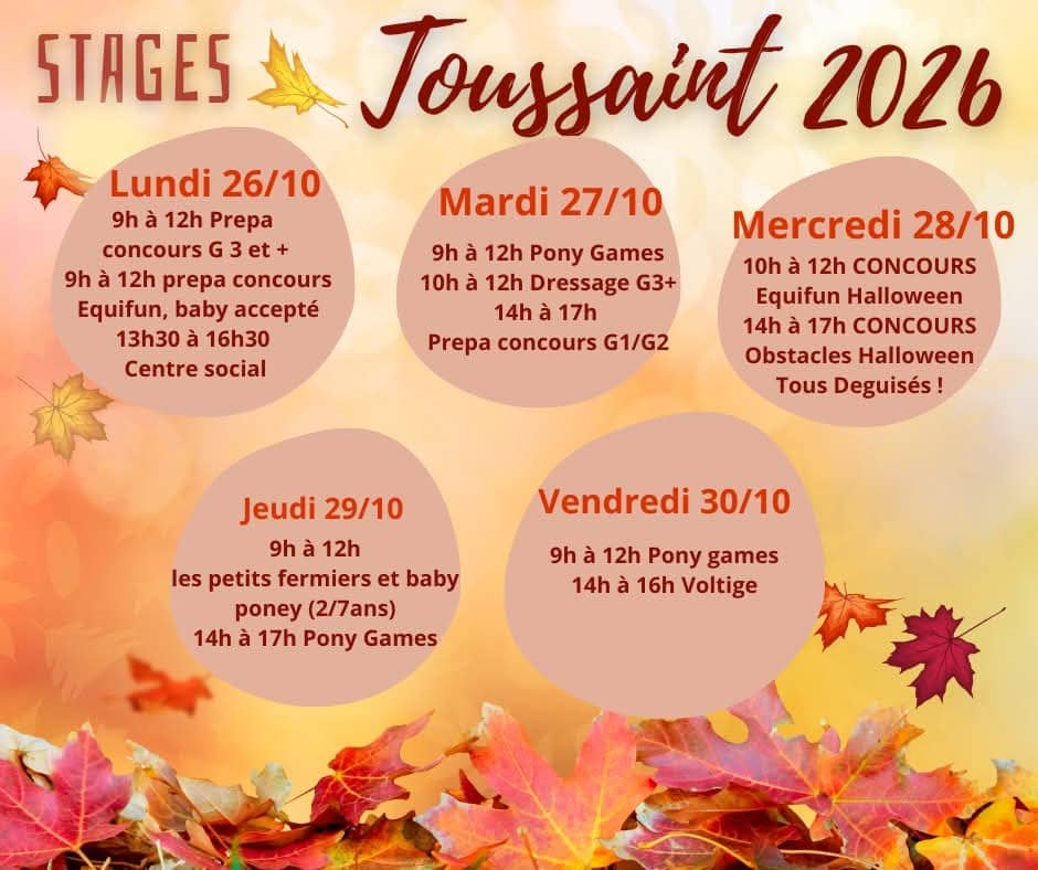 Illustration de l'événement : Stages Toussaint 2026 - 2ème semaine
