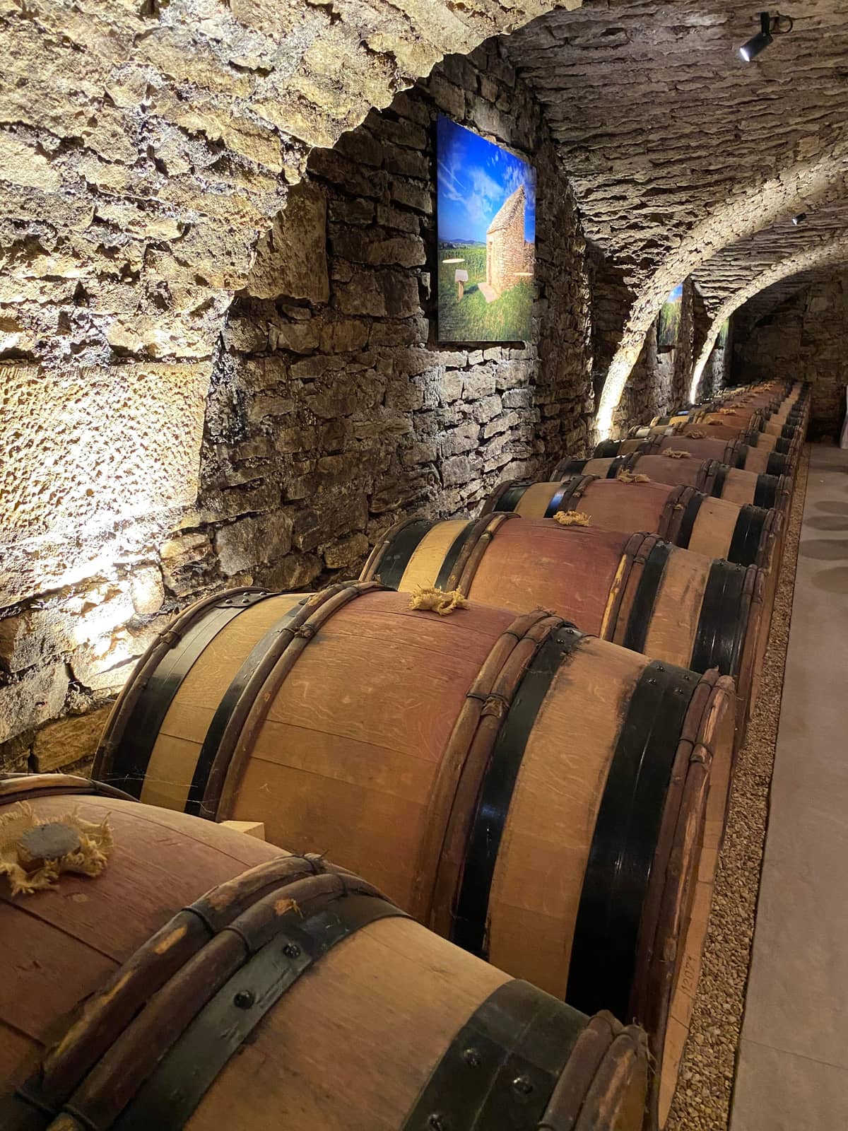 Illustration de l'événement : Dégustation musicale aux Caves Saint-Nicolas de la Maison Albert Bichot à Beaune