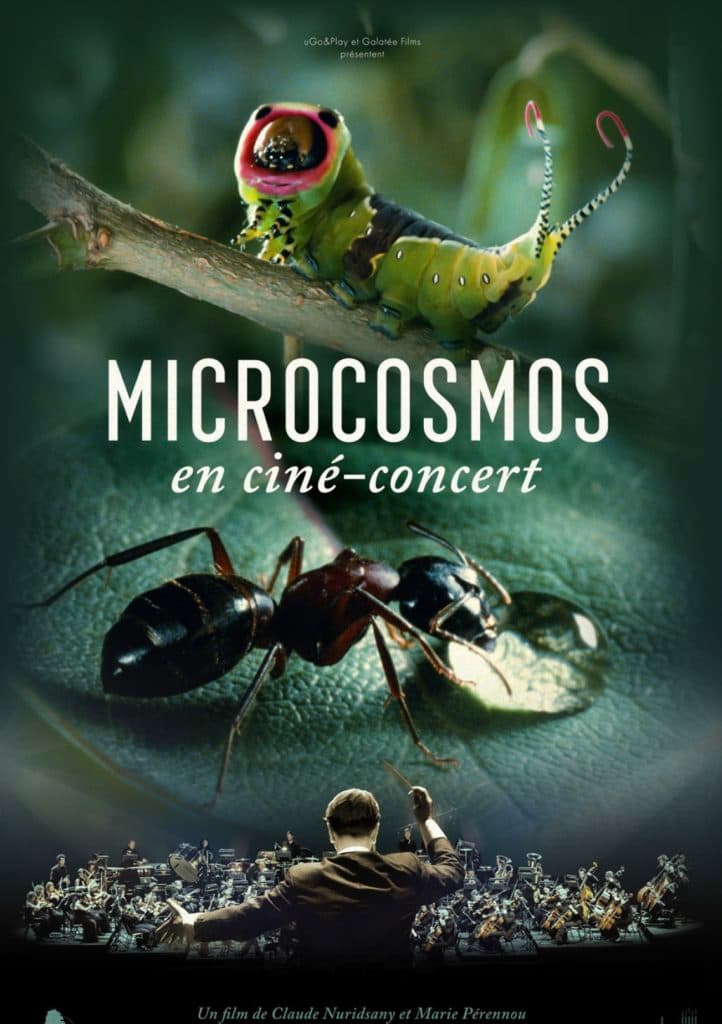 Illustration de l'événement : Ciné concert Microcosmos, le peuple de l'herbe