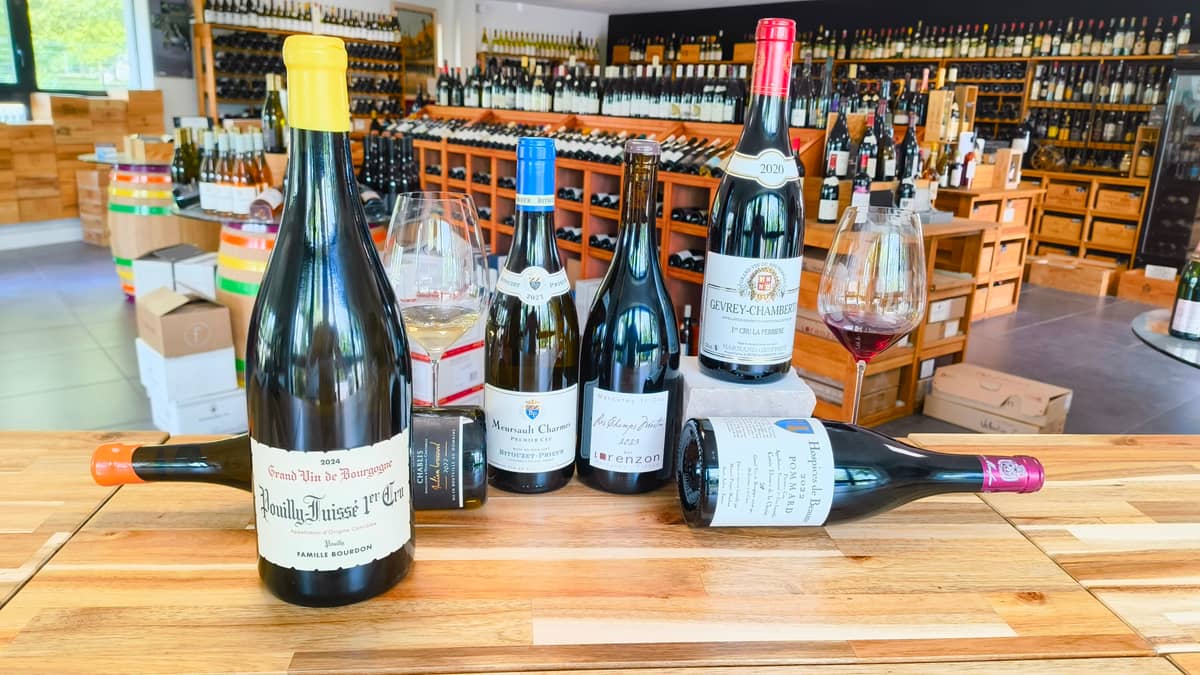 Illustration de l'événement : Dégustation spéciale vente des vins "Voyage en 1ers Crus - Au cœur des terroirs de Bourgogne" Millésimes à la Carte
