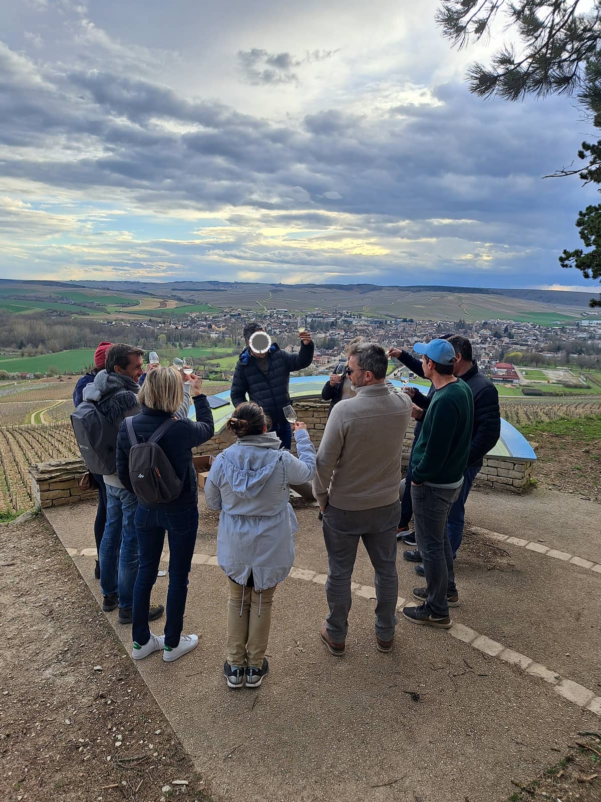 Illustration de l'événement : Balade commentée dans le vignoble de Chablis