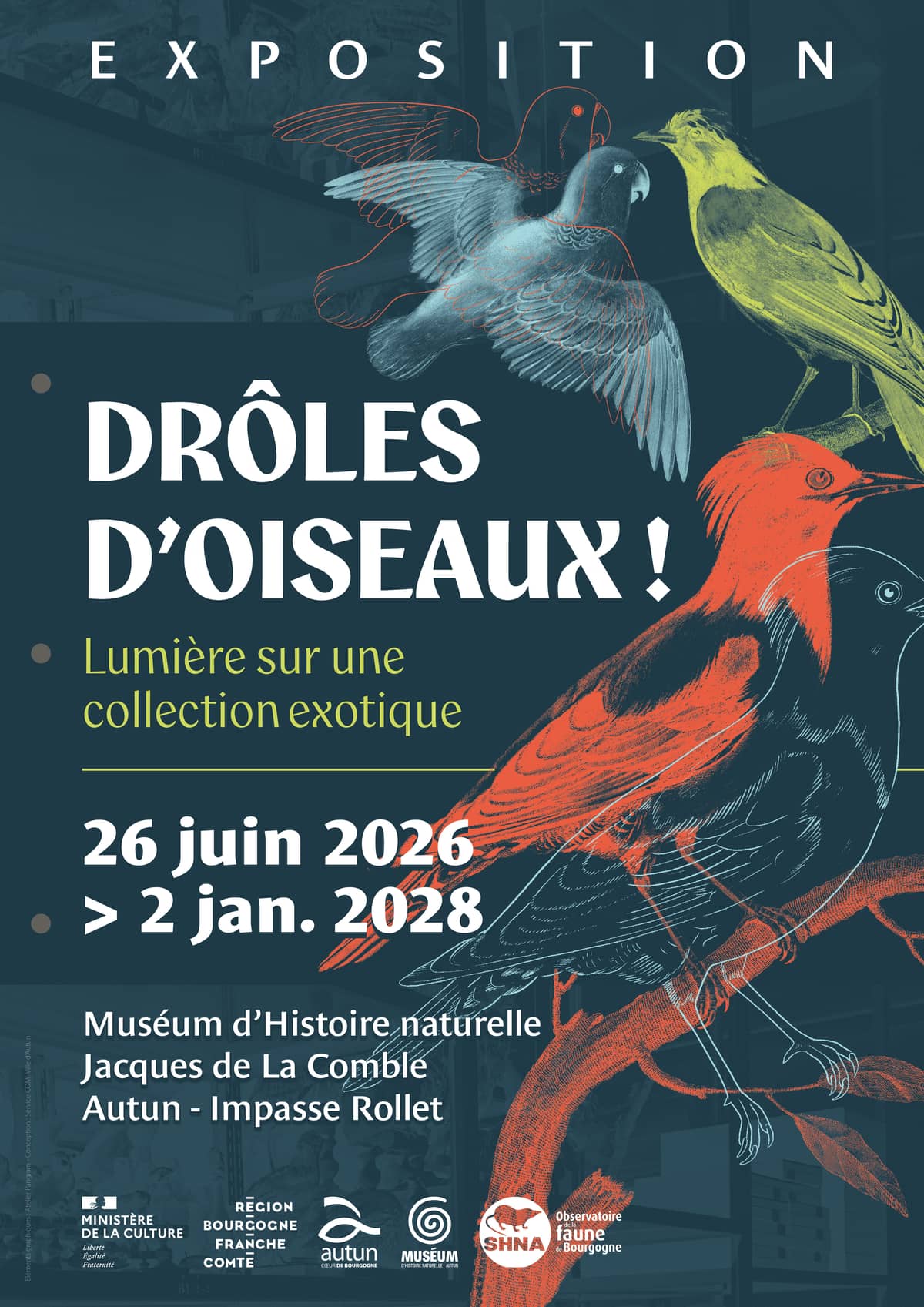 Illustration de l'événement : Exposition "Drôles d'oiseaux : lumière sur une collection exotique"