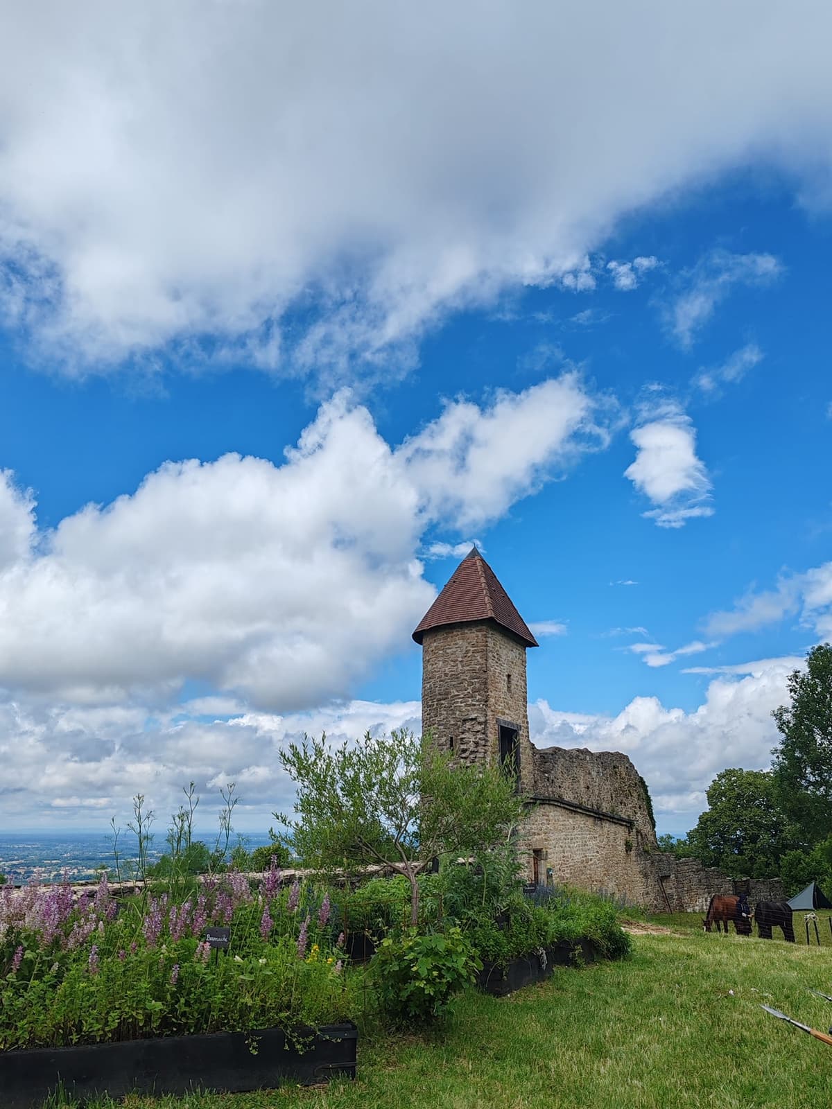 Illustration de l'événement : Chantier de bénévoles au Château de Chevreaux