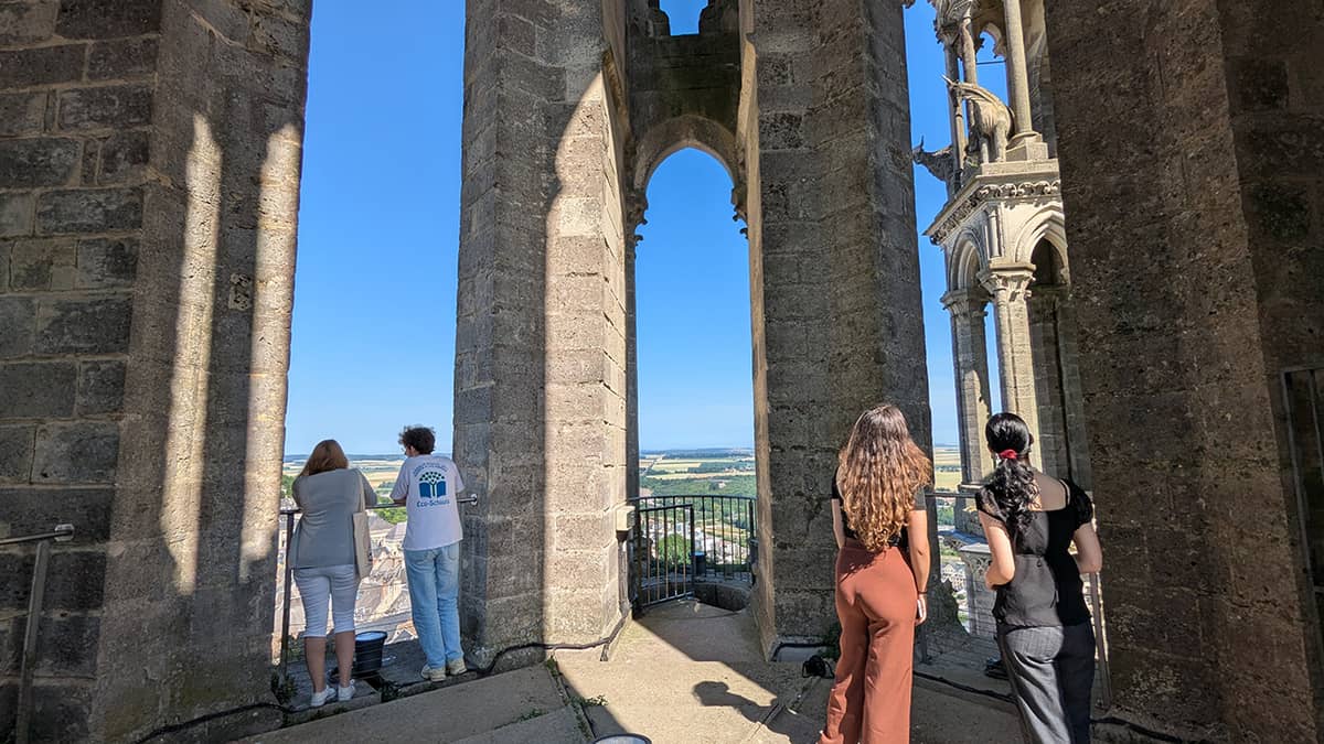 Illustration de l'événement : Visite guidée des hauteurs de la cathédrale à Laon