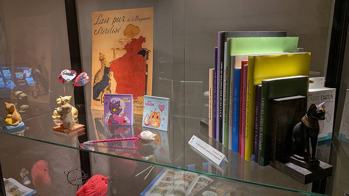 Illustration de l'événement : Exposition à Laon : "Chat, chat, chats !"