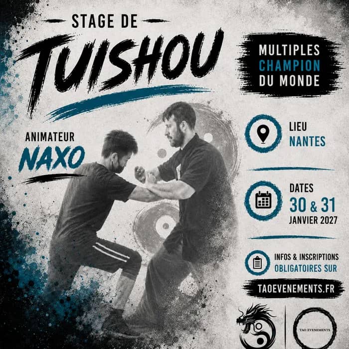 Illustration de l'événement : Stage de Tuishou avec Naxo, multiple champion du monde