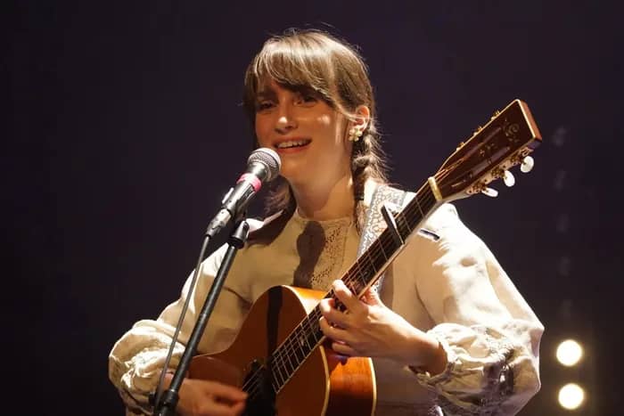 Illustration de l'événement : Concert folk dans un salon à Saint-Max