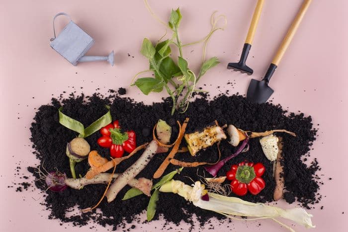 Illustration de l'événement : Formation aménagements : Et si mes déchets végétaux rendaient mon jardin plus beau ?