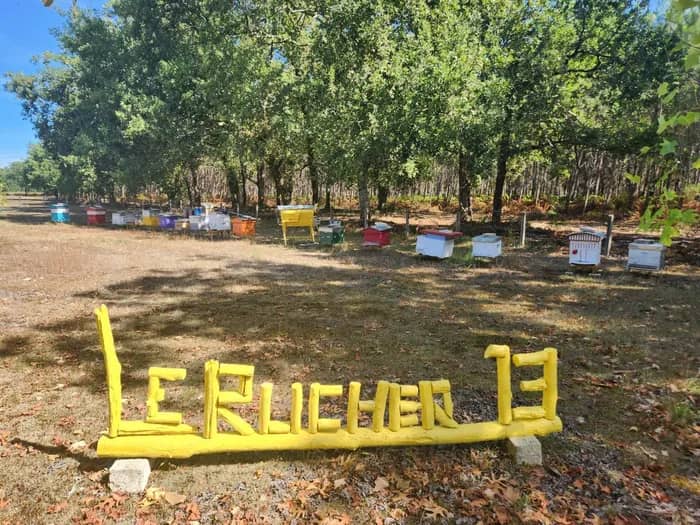 Illustration de l'événement : À la découverte du Rucher 13