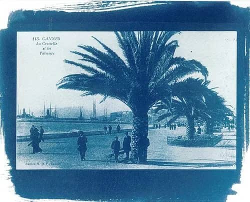 Illustration de l'événement : Atelier cyanotype : découverte et pratique d'une ancienne technique photographique