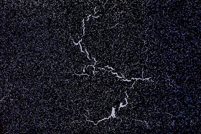 Illustration de l'événement : Orbites