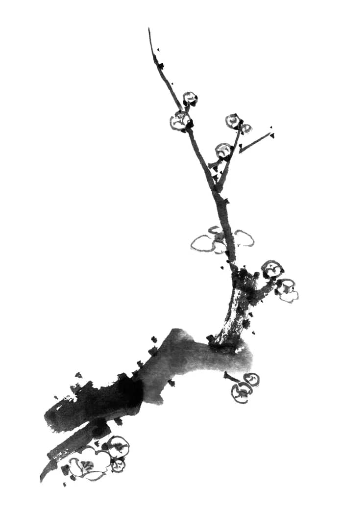 Illustration de l'événement : Expo-Vente : Thierry Buisson - Encre de Chine