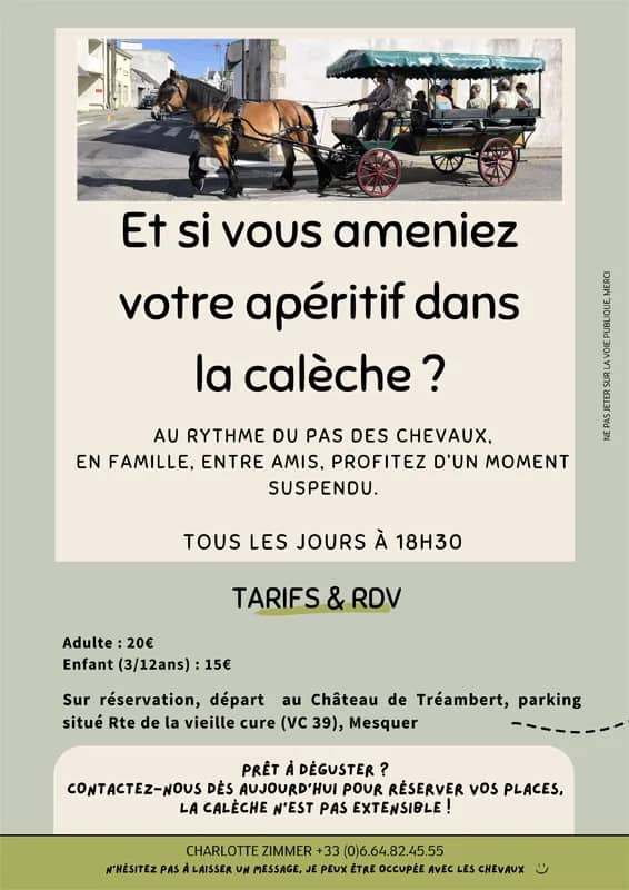 Illustration de l'événement : Balades en calèche
