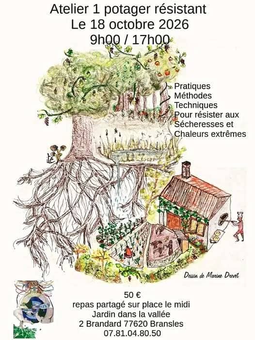 Illustration de l'événement : Dimanche 18 octobre Stage un potager résistant