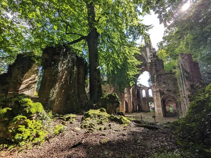 Illustration de l'événement : Journées du Patrimoine - Découverte de l'Abbaye de Trois-Fontaines