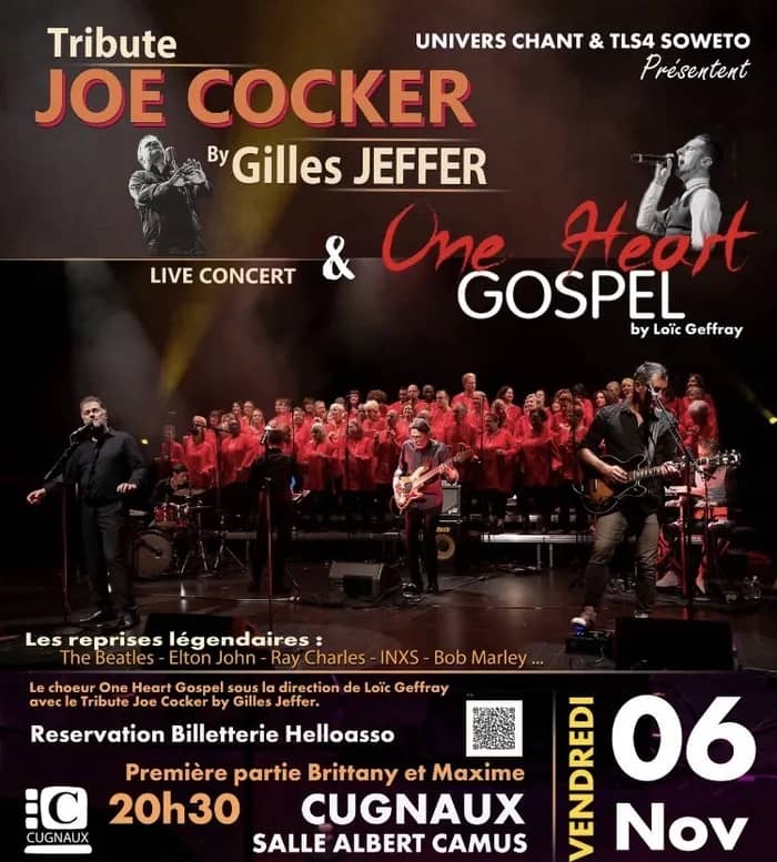 Illustration de l'événement : Concert Tribute Joe Cocker