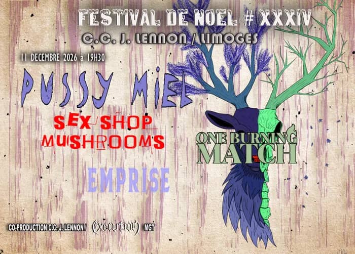 Illustration de l'événement : Festival de Noël # XXXIV