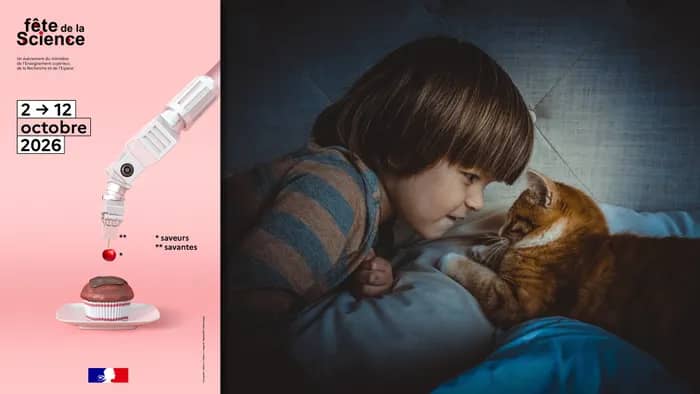 Illustration de l'événement : Le trouble du spectre de l'autisme : apports des animaux et mécanismes sous-jacents. #FDS2026
