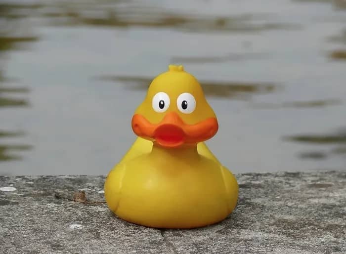Illustration de l'événement : À la recherche des canards perdus - cartographie 1