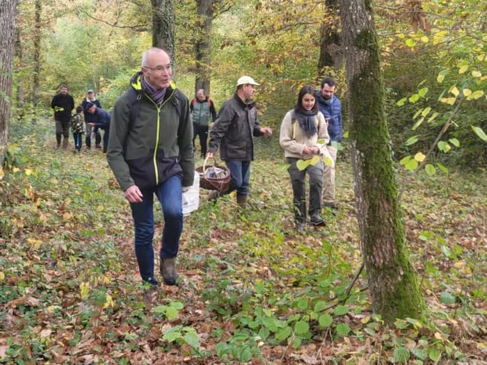 Illustration de l'événement : Champignons en Forêt d'Orléans
