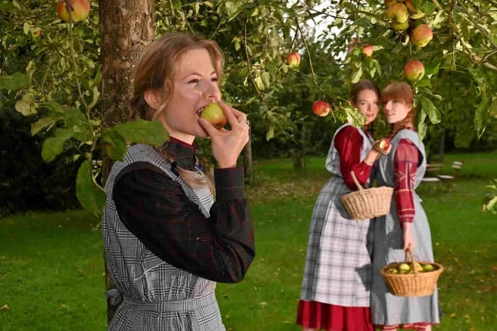 Illustration de l'événement : Fête des saveurs et de la pomme