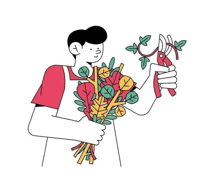 Illustration de l'événement : Formation Jardin
