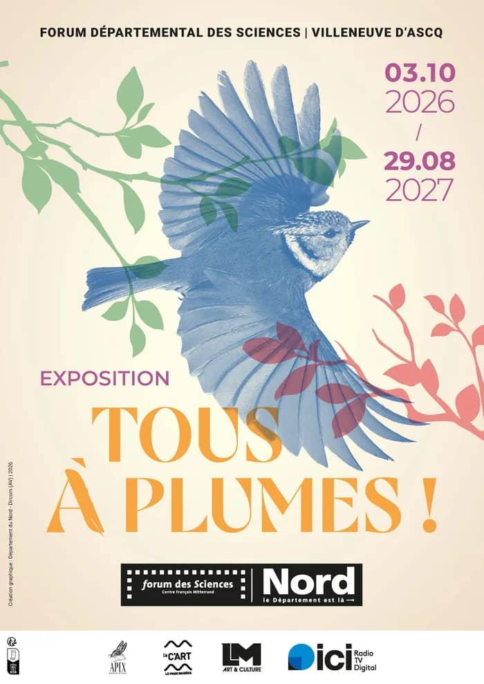 Illustration de l'événement : Tous à plumes !
