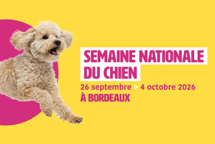 Illustration de l'événement : Mieux comprendre mon chien pour des balades sereines