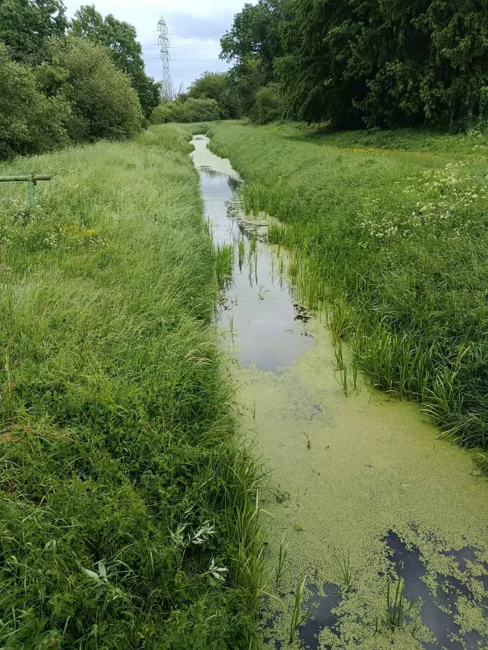 Illustration de l'événement : JeP - Balade au fil de l'eau à Coignières