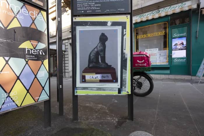 Illustration de l'événement : Lancement du livre LES CHATS ERRANTS DU MAH – MAH STRAY CATS, dernier volet de l’intervention pour l’espace public de Katharina Hohmann