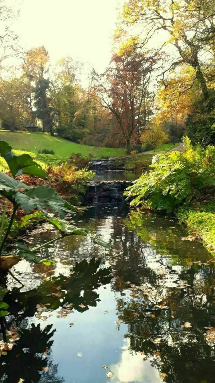 Illustration de l'événement : Le parc de la Gaudinière au rythme de l'automne