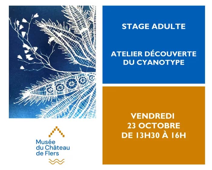 Illustration de l'événement : Stage adulte : Atelier découverte du cyanotype