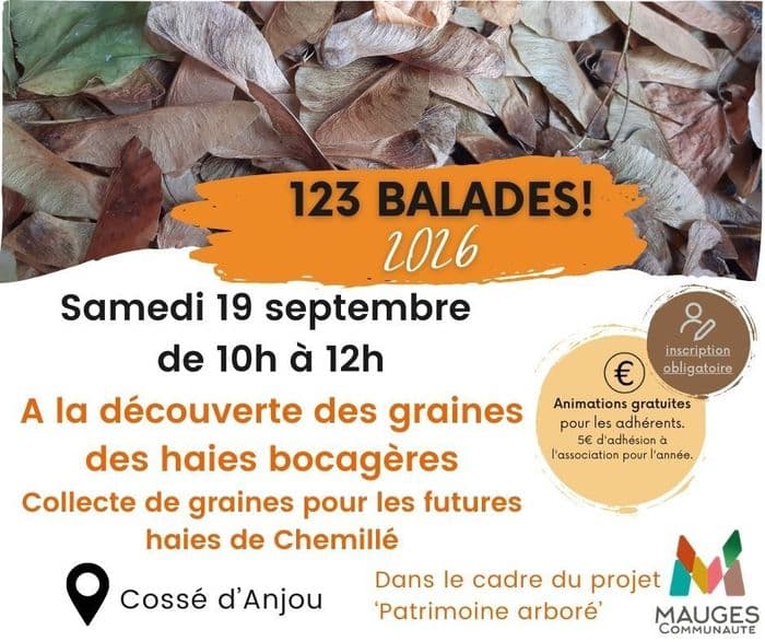 Illustration de l'événement : A la découverte des graines de haies bocagères