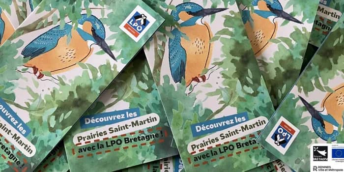 Illustration de l'événement : À la découverte des oiseaux des Prairies Saint-Martin