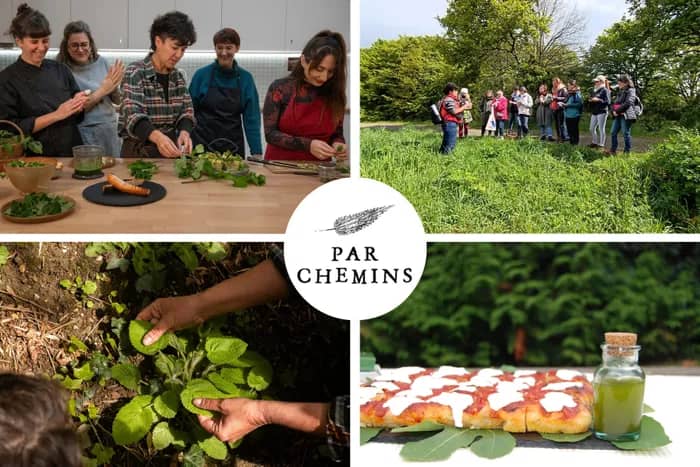 Illustration de l'événement : Journée immersive : Gastronomie des plantes sauvages comestibles
