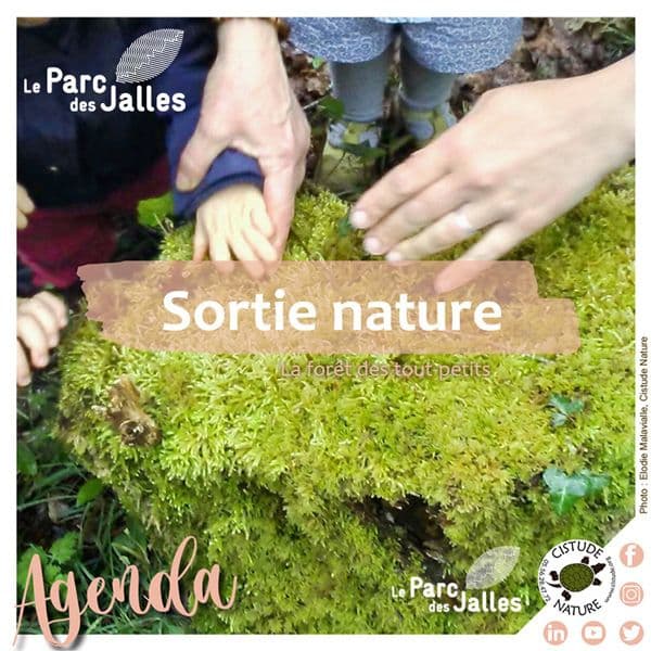 Illustration de l'événement : "Forêt des petits et tout-petits"