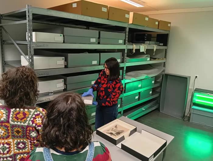 Illustration de l'événement : Visite des coulisses : dans les réserves du musée